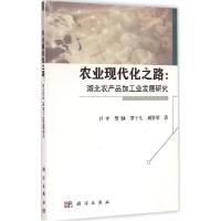 11农业现代化之路:湖北农产品加工业发展研究978703043449422