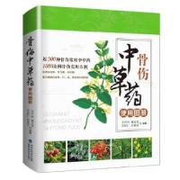 11骨伤中草药使用图册978753355595522