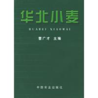 11华北小麦978710907155122