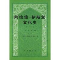 11阿拉伯-伊斯兰文化史-第六册-正午时期(二)978710002653622