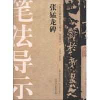 11张猛龙碑-中国历代碑帖技法导学集成.笔法导示-159787517200222