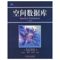 11空间数据库978711113221922