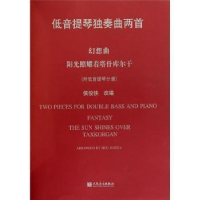 11低音提琴独奏曲两首-幻想曲阳光照耀着塔什库尔干9787103040416