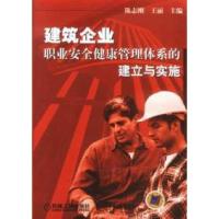 11建筑企业——职业安全健康管理体系的建立与实施9787111117261