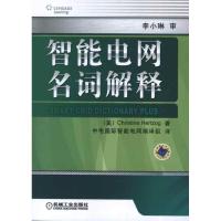 11智能电网名词解释978711139380122