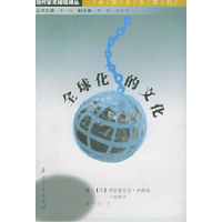 11全球化的文化——当代学术棱镜译丛978730503776422