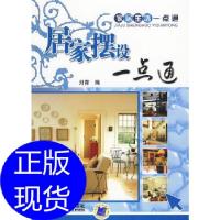 11居家摆设一点通978711129163322