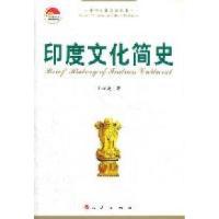 11印度文化简史978701010097522