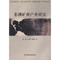 11非洲矿业产业研究978750497480822