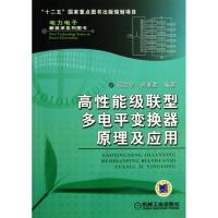 11高性能级联型多电平变换器原理及应用978711143661422