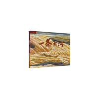 11九神鹿绘本馆----一条大河978751485551722