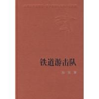 11铁道游击队978702007453222