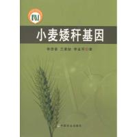 11小麦矮秆基因978710913517822