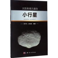 11太阳系考古遗存:小行星978703052470622