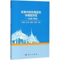 11变革中的东南亚和华南经济区:机遇与挑战978703055085922