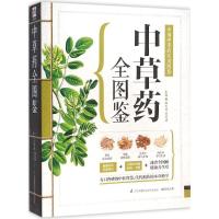 11中草药全图鉴978755374260122