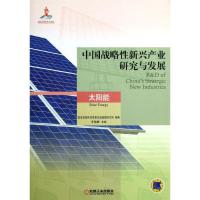 11中国战略性新兴产业研究与发展 :太阳能978711142663922