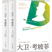 11大卫.考坡菲(上下)978720509670022