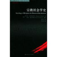 11宗教社会学史——宗教学译丛978730006965422