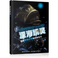 11深海精灵:揭秘深海动物的百科全书978730408948122