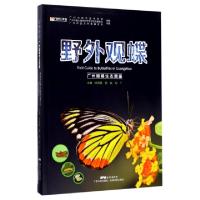 11野外观蝶(广州蝴蝶生态图鉴)978753596722022