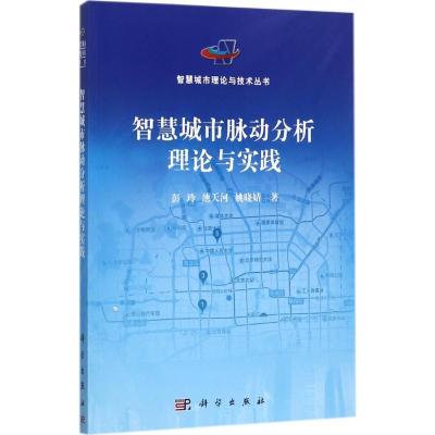 11智慧城市脉动分析理论与实践978703052842122