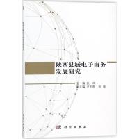 11陕西县域电子商务发展研究978703056392722
