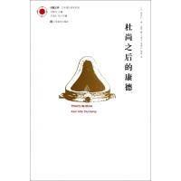11杜尚之后的康德/艺术理论研究系列/凤凰文库978753447280022