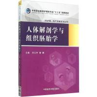 11人体解剖学与组织胚胎学978750677556422