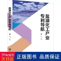 11盐湖化工产业导航978751307232822
