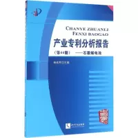 11产业专利分析报告(第44册石墨烯电池)978751304239022