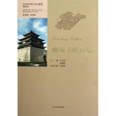 11聊城文化通览-山东区域文化通览-聊城卷978720906235022