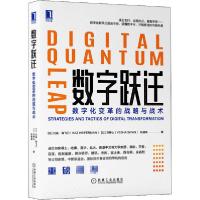 11数字跃迁 数字化变革的战略与战术978711165960022