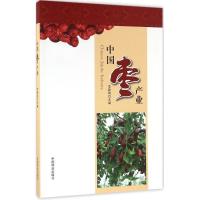 11中国枣产业978750388357622