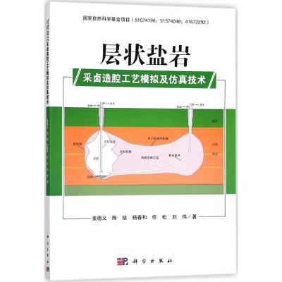 11层状盐岩采卤造腔工艺模拟及仿真技术978703053824622