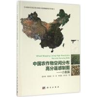 11中国农作物空间分布高分遥感制图(小麦篇)978703045380822