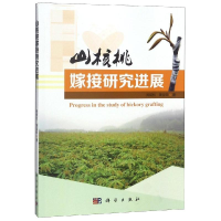 11山核桃嫁接研究进展/郑炳松978703057572222