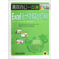 11Excel会计和财务实战技巧精粹978711141383722