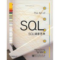 11SQL语言艺术978712105834922