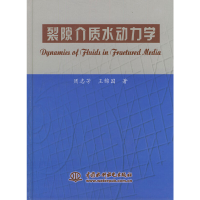 11裂隙介质水动力学978750841823022