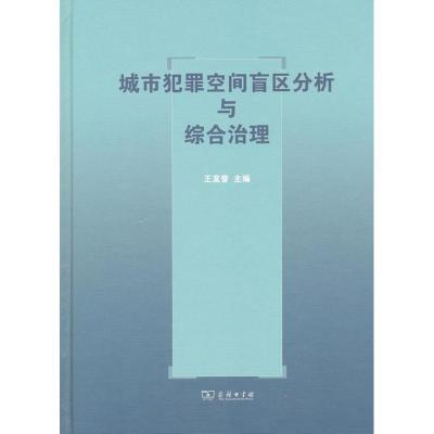 11城市犯罪空间盲区分析与综合治理978710009235722