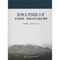 11贵州大竹园铝土矿矿床地质、地球化学与成矿规律9787030398123