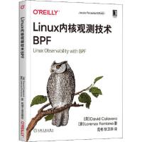 11Linux内核观测技术BPF978711166054522