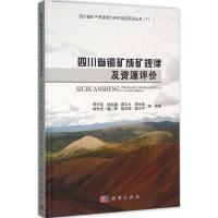 11四川省铜矿成矿规律及资源评价978703047960022