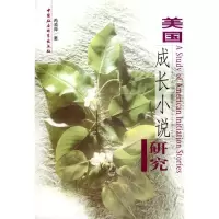 11美国成长小说研究978750044496122