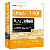 11Oracle PL/SQL从入门到精通978751705372922