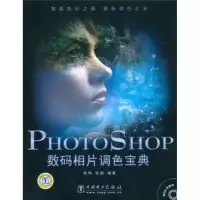 11Photoshop数码相片调色宝典978751230357722