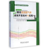 11普光高含硫气田高效开发技术与实践978751143060122