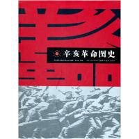 11辛亥革命图史978753944328722