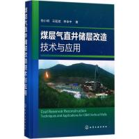 11煤层气直井储层改造技术与应用978712229876822